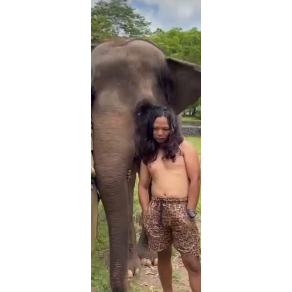 Tarzan Inoen Edisi Leopard Celana Beani Sepatu Vest Skechers