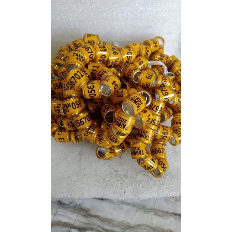 ring merpati import murah