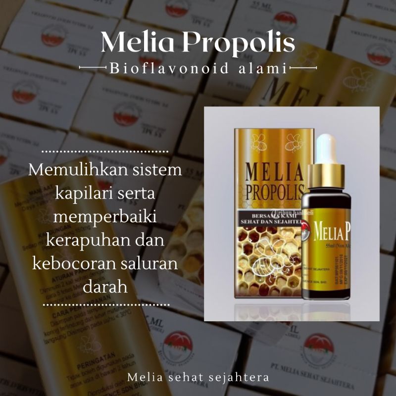 Melia Propolis | Melia Propolis 30ml . | Propolis Asli. |. Bioflavonoid.