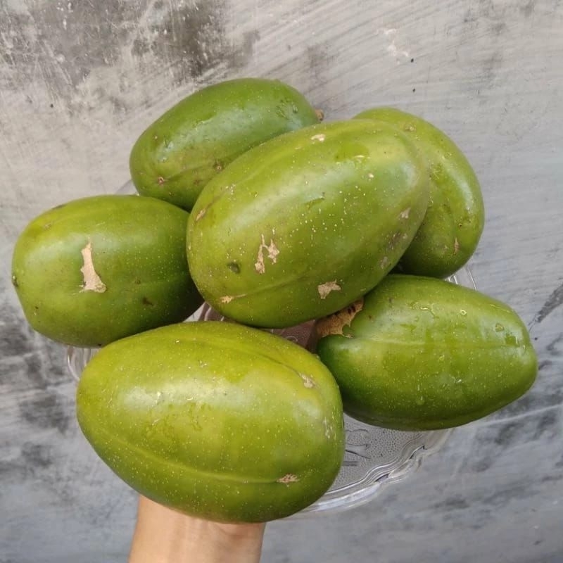 

buah kedondong rujak atau petisan segar 1,2 kg