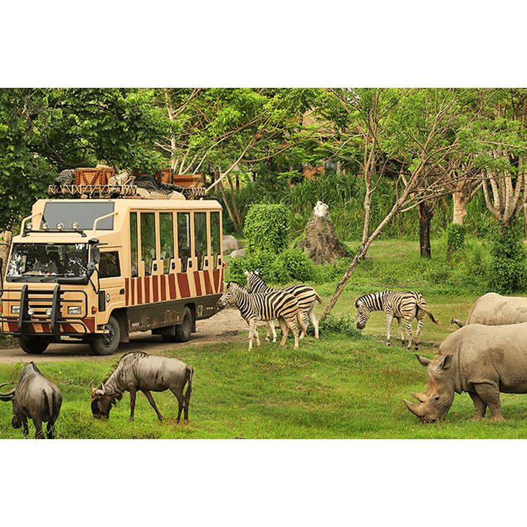 Tiket Bali Safari Explore - ANAK (Domestic)