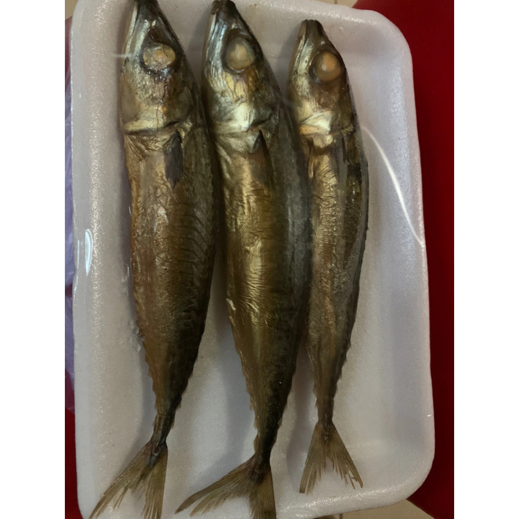 

Ikan Kembung Layang Asap 3 Ekor KIRIM INSTANT