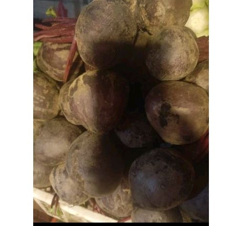 

Buah Bit 500gram promo hari ini