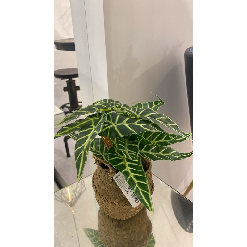 Informa tanaman artificial dengan pot