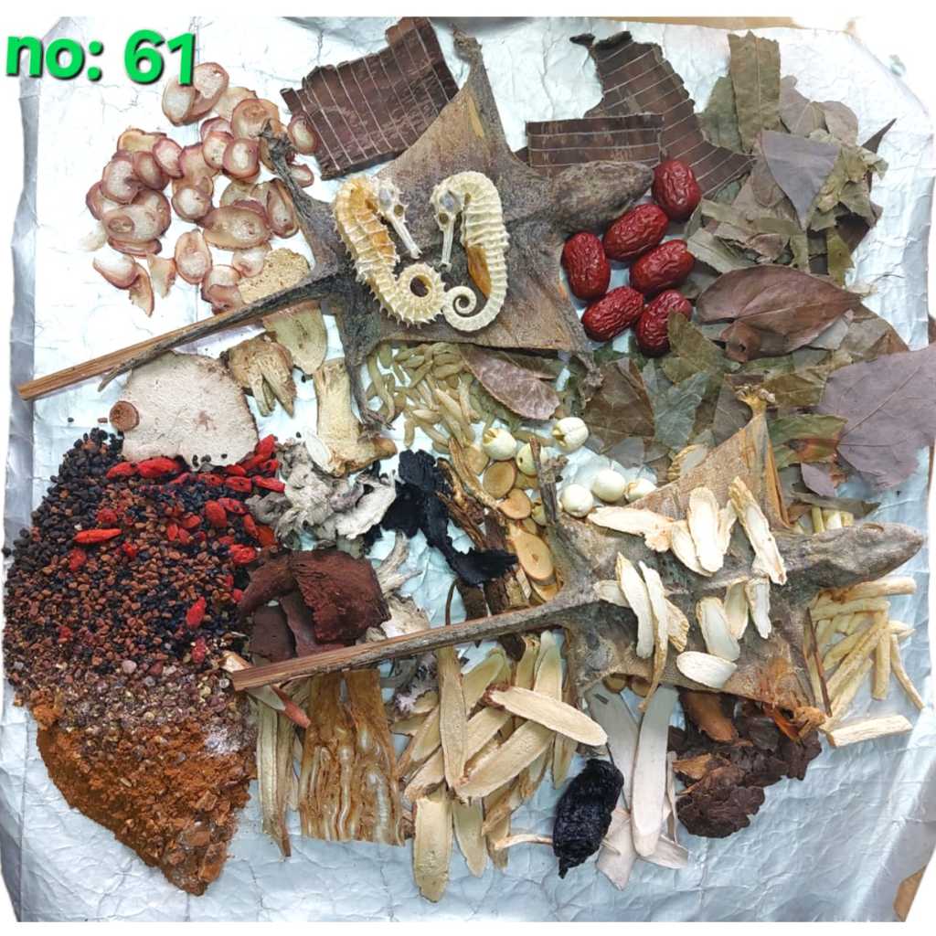 

Herbal Rendaman Untuk Meningkatkan Sperma dan Kesuburan Laki Laki Memperoleh Keturunan