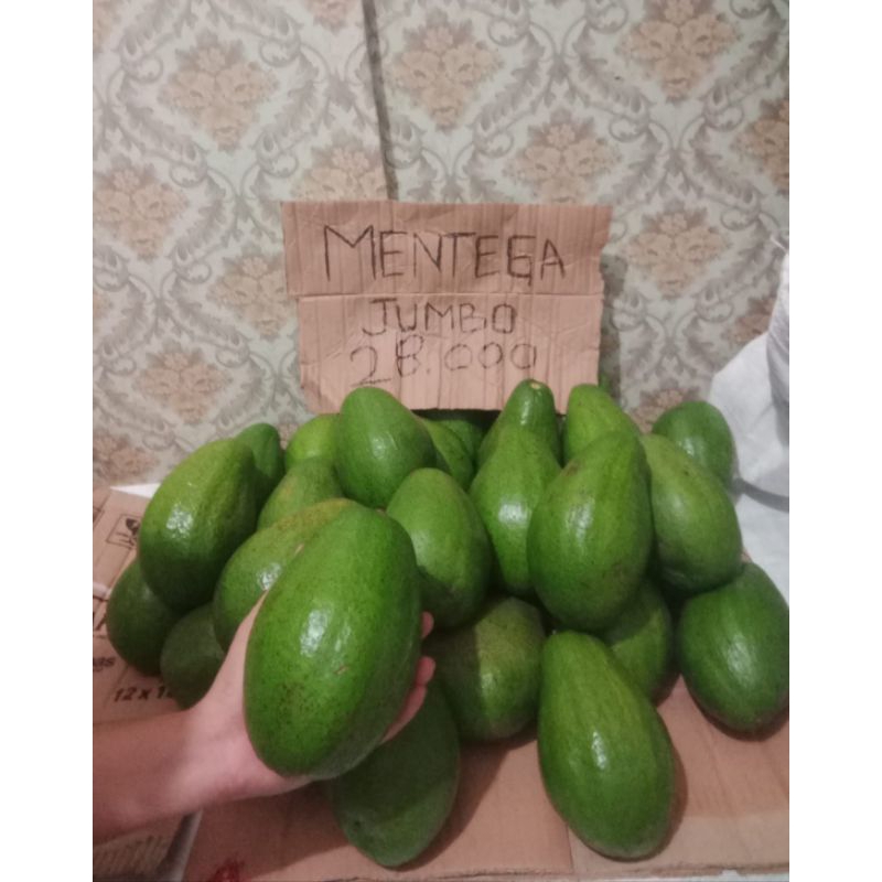 

alpukat mentega great A JUMBO Asli petani Boyolali