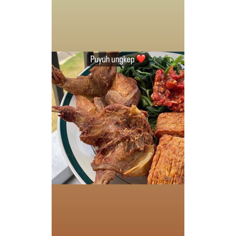 

burung puyuh ungkep 10 ekor