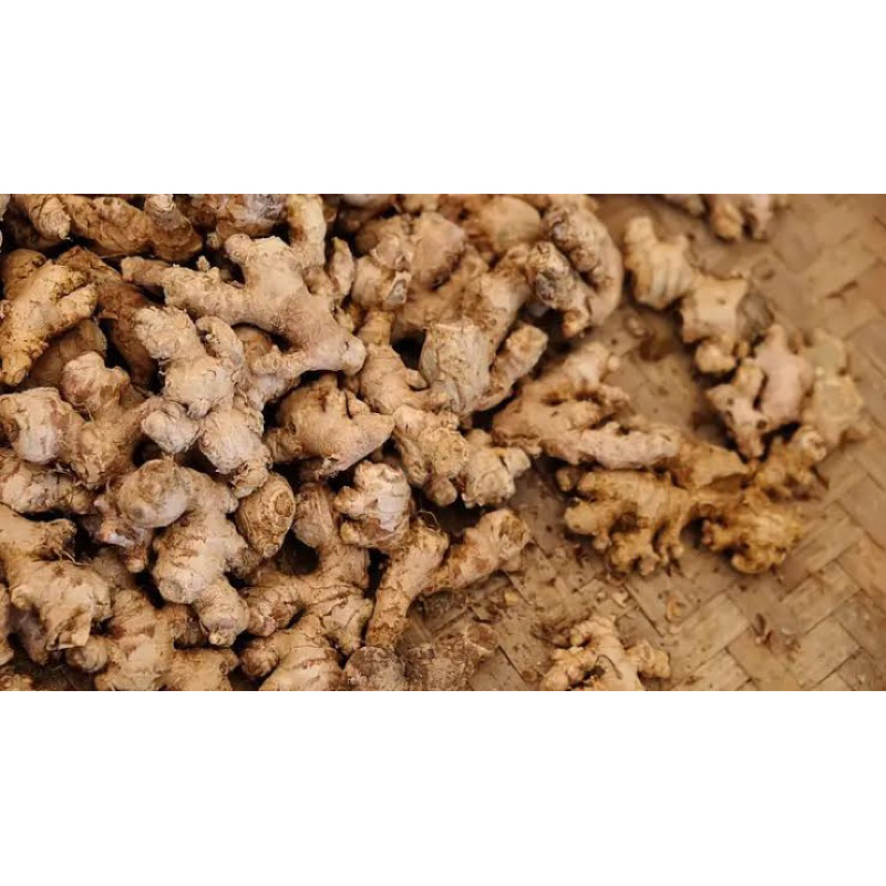 

Rempah jahe, Jahe Emprit 500 Gram