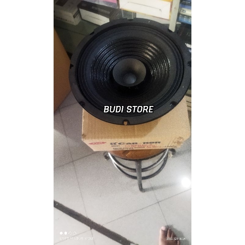 speaker Cannon Fullrange 10 inch