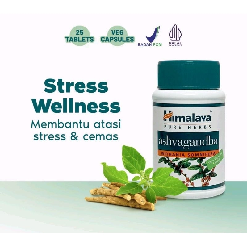 Himalaya Ashvagandha 60 kapsul