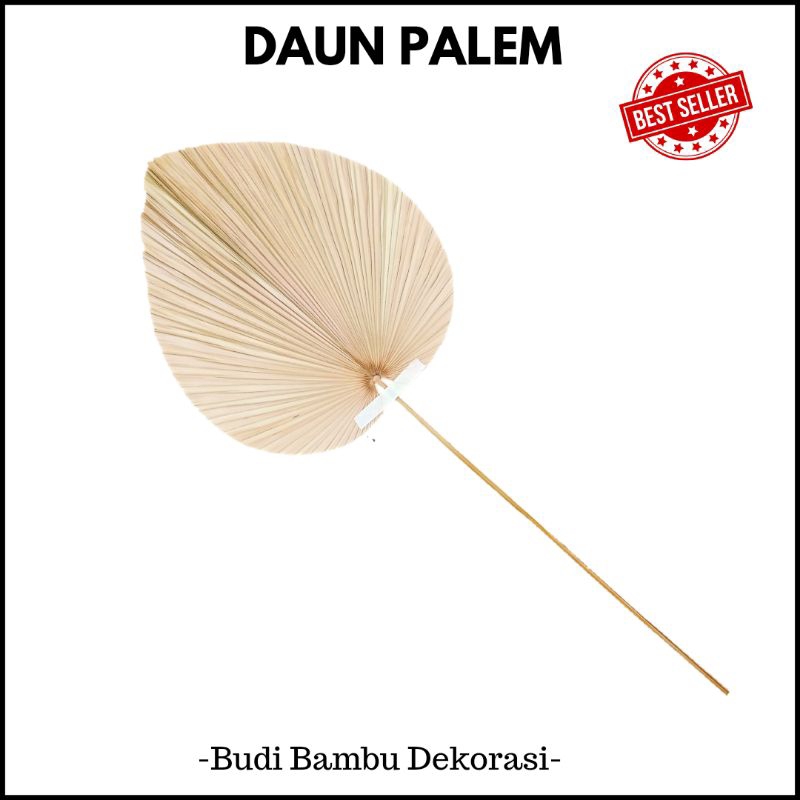 DAUN PALEM KERING / HIASAN DAUN PALEM / RUSTIC UKURAN S MURAH
