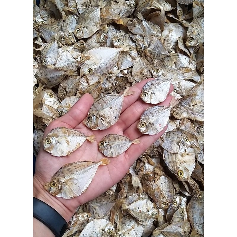

Ikan Asin Petek Kecil 100gr / Ikan Asin Pere Kecil / Ikan Kempar Kering / Kopek / Dodok Kecil