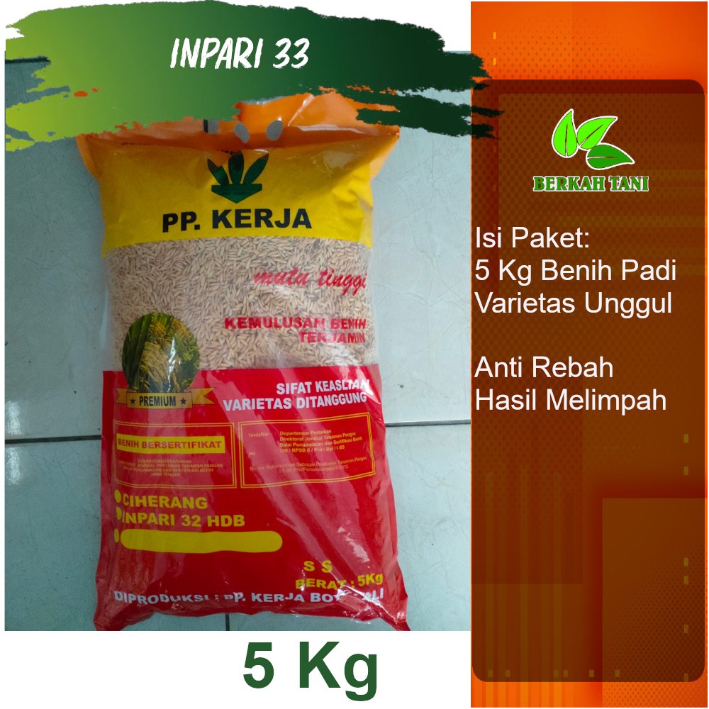 Benih Padi Inpari 33 Premium Pak Tani 5 Kg