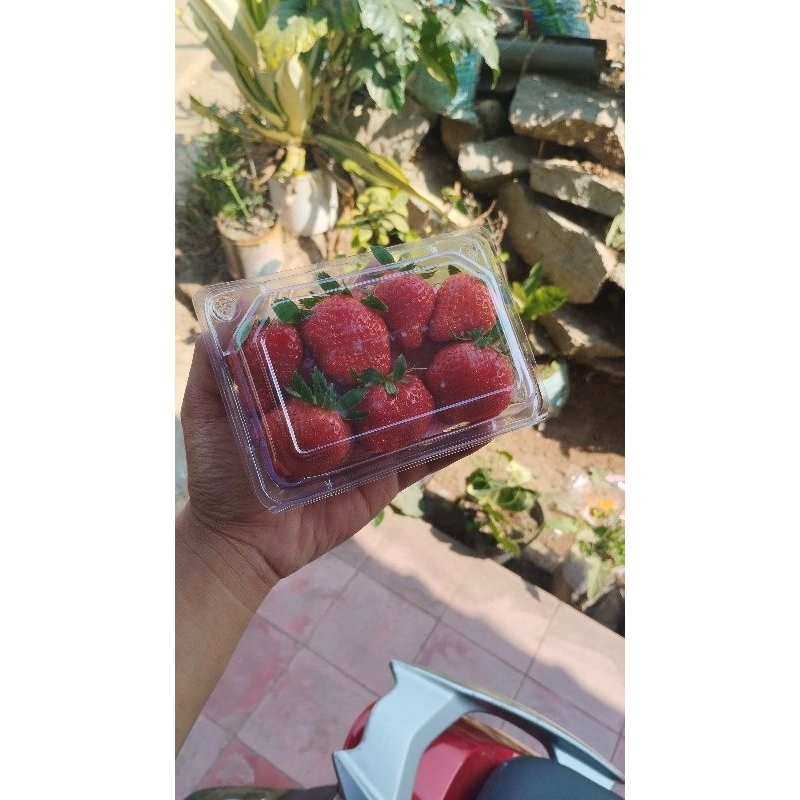 

strawberry
