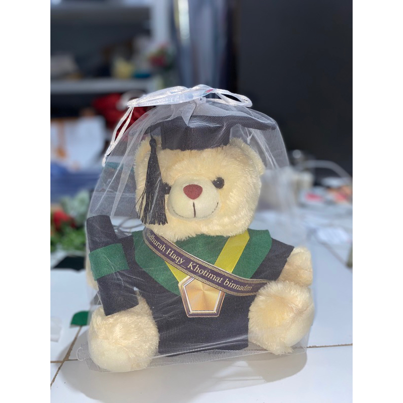 Boneka Wisuda Teddy Bear Wisuda Boneka Wisuda Sedang Import