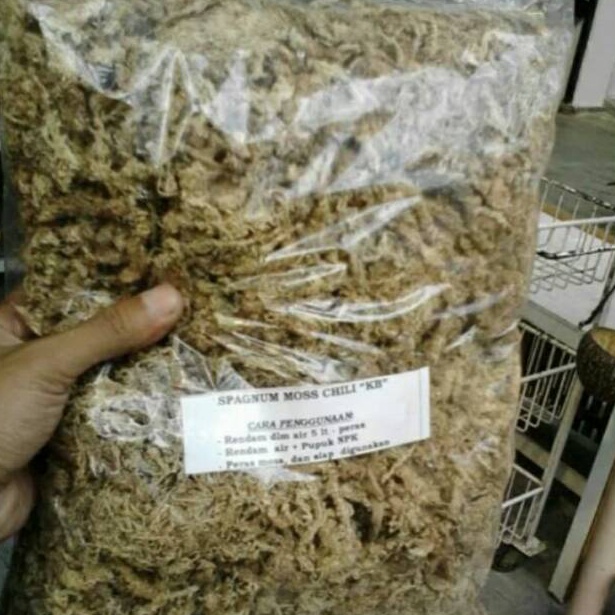 Media anggrek spagnum mos chile atau mos putih ART RO2