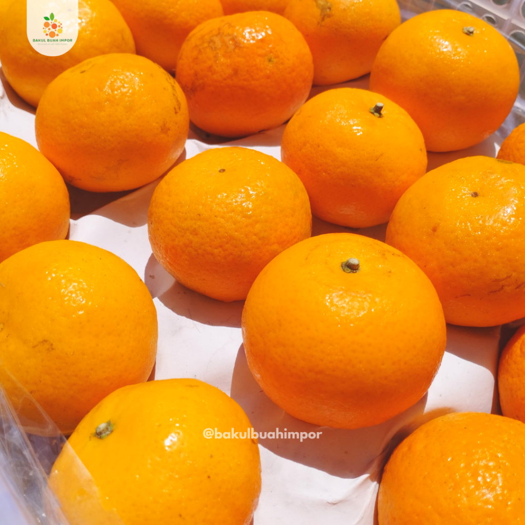 

Jeruk Wogan Paradise [ 1kg ]