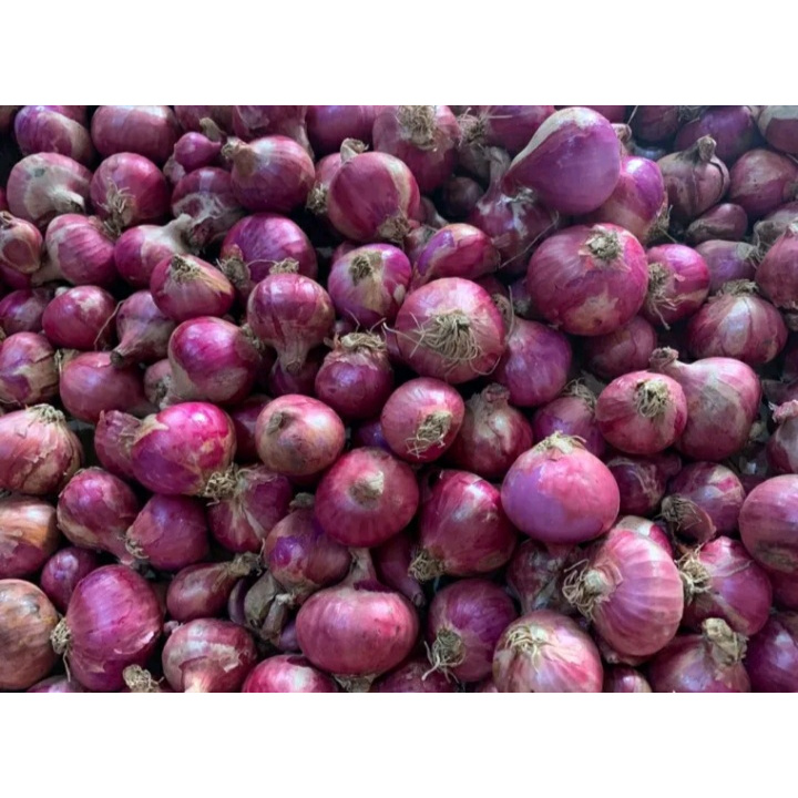 

Bawang Merah Peking 1Kg Super Murah