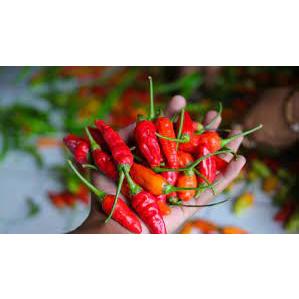 

Cabe rawit merah 500 gram Depok