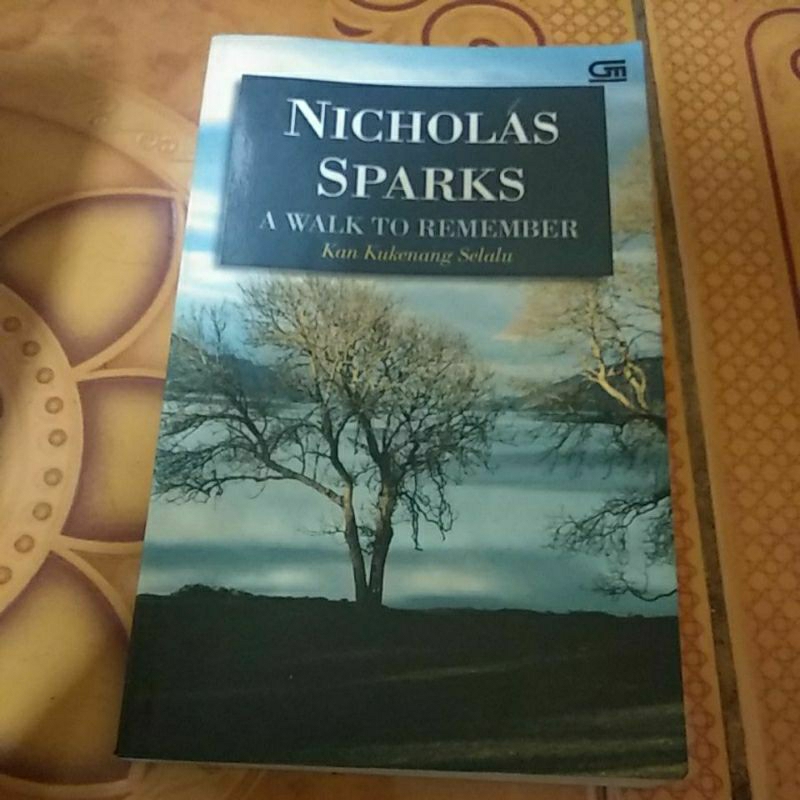 Novel A walk to remember