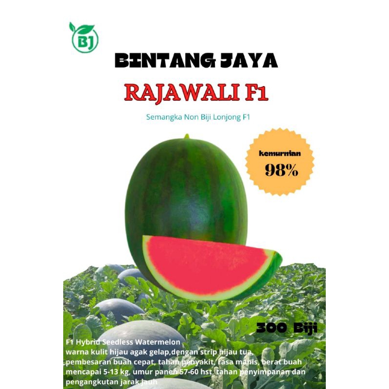 Benih / bibit  Semangka Lonjong  F1 Rajawali Bintang Jaya Wijaya Kusuma501