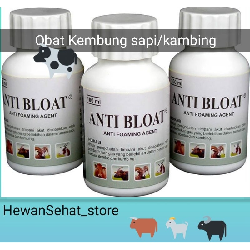 ANTIBLOAT _ obat kembung sapi kambing