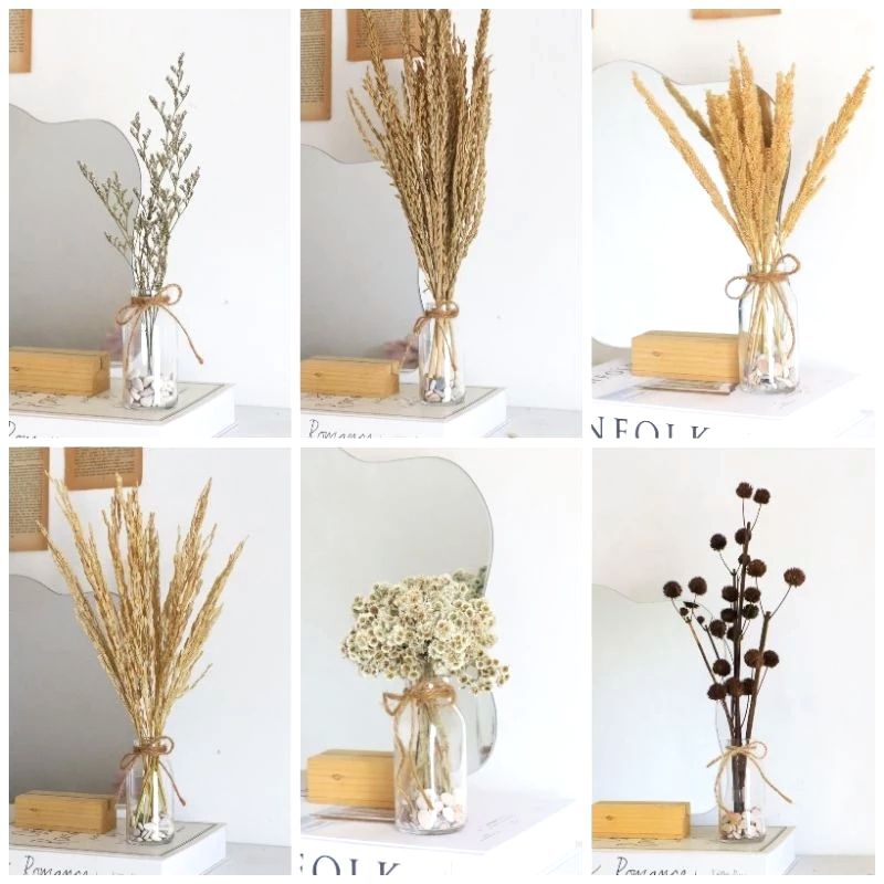 Bunga kering aesthetic / Bunga edelweis / Bunga set vas botol kaca