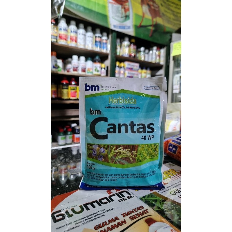BM CANTAS 100gr Bahan aktif:metil benzulfuron 6%kuinklorida 34%Herbisida sistemik pra dan purna tumb