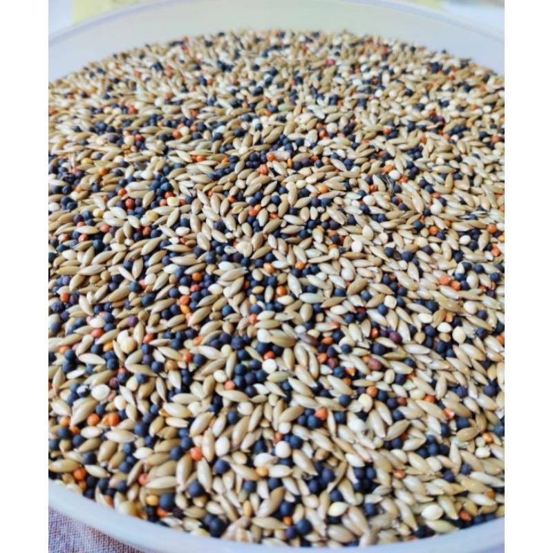 

Pakan kenari kiloan 4 macam 1kg