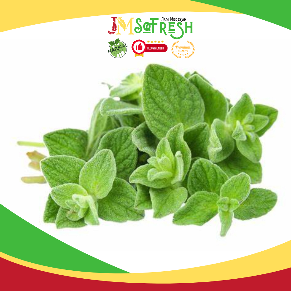 

[JM_SoFresh] Daun Oregano Segar Per Ikat 50 Gram