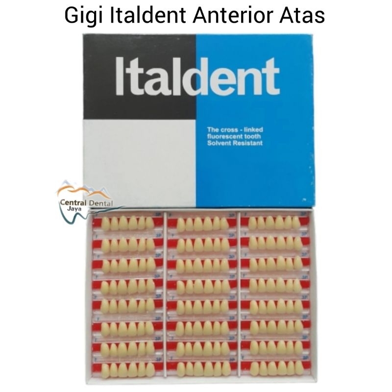 Gigi Palsu Italdent Anterior Atas (Depan Atas) / Gigi Akrilik Tiruan Seri Upper (Atas) / ITALDENT Ac