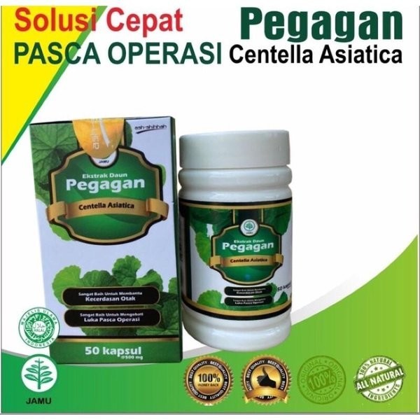 Kapsul Ekstrak PEGAGAN Ash-Shihhah | Kapsul Pegagan