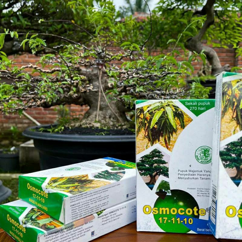 PROMO DEKASTAR OSMOCOTE 17-11-10 500 GRAM EXIPIRED 2026