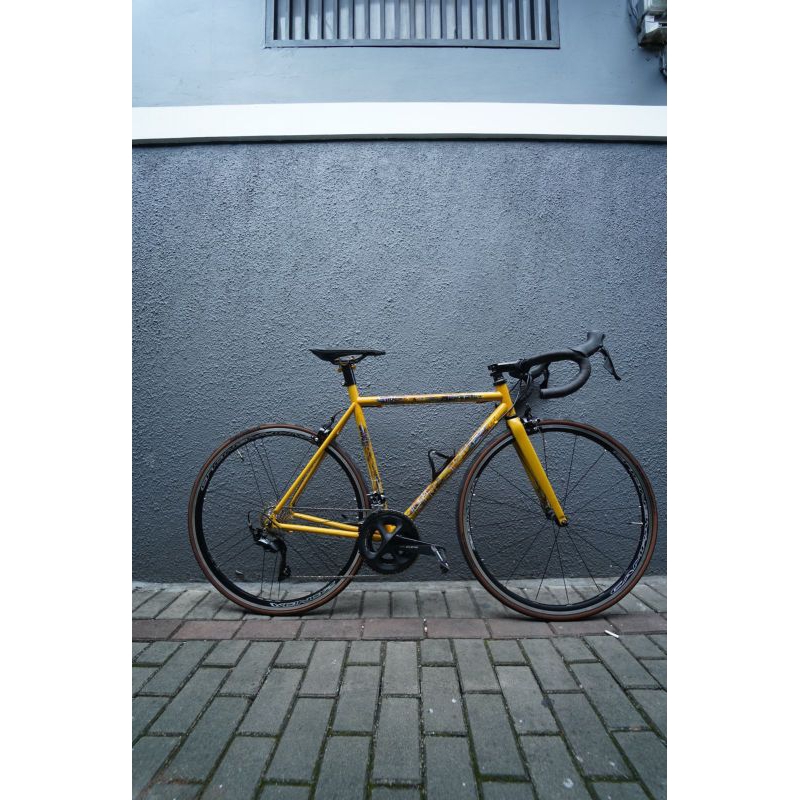frame custom Alloy , fork carbon roadbike Alphalab