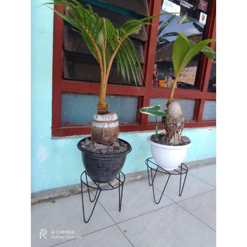 tatakan pot / standing pot / standing pot murah / standing pot mini