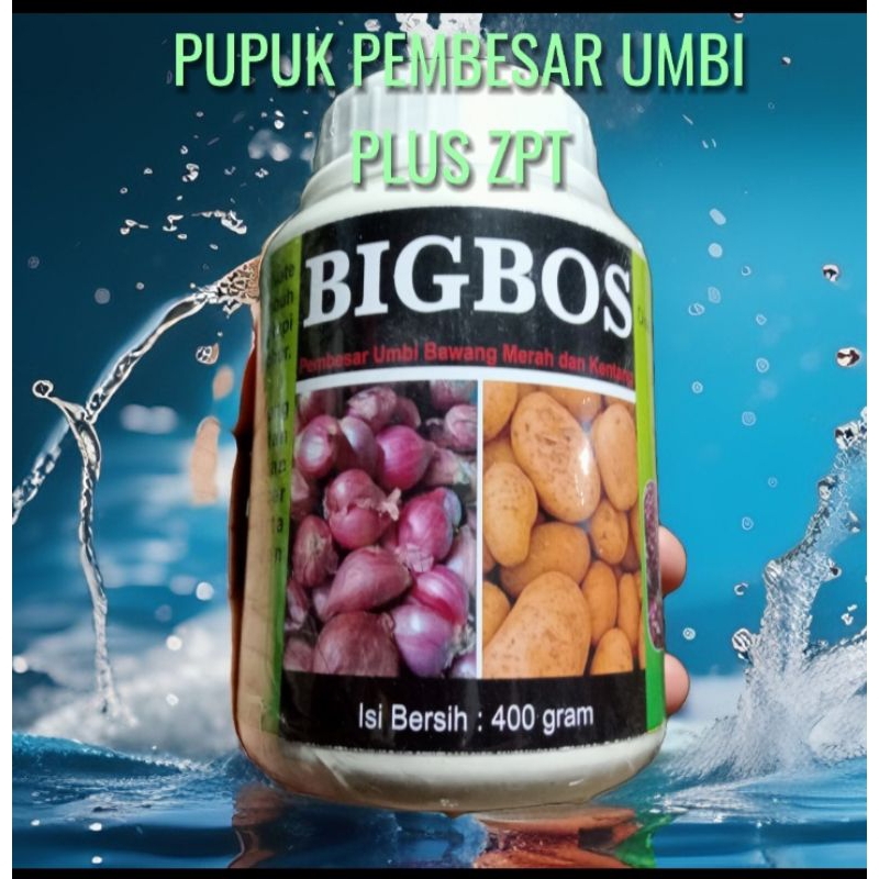Pupuk Pembesar Buah dan Umbi plus zpt untuk semua Tanaman