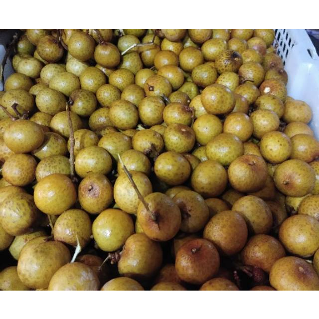 

buah lengkeng/kelengkeng 1kg KIRIM INSTAN