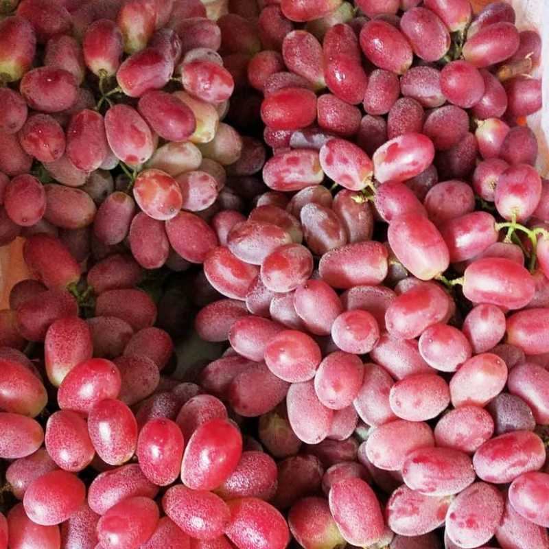 

Buah 300gr Anggur Crimson tanpa biji, Ready Stock Delivery Jogja