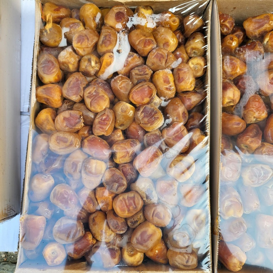 

Kurma Sukkari 3 kg Kurma Raja Sukkari MZ Kualitas Premium Kurma Sukari Al Qassim 3Kg