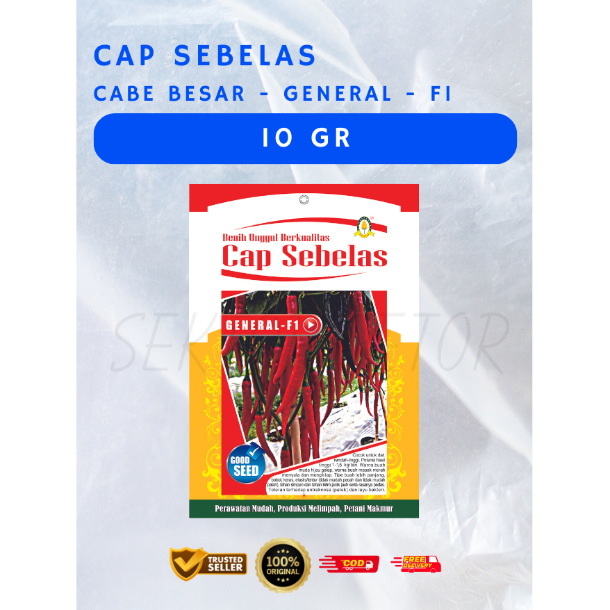 Benih Cabe Besar General F1 Cap Sebelas 10gr | Benih Cabe Besar | Bibit Cabe Besar | Benih Cabe Besa