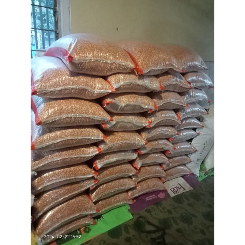 jagung merpati semi 25 kg /karung