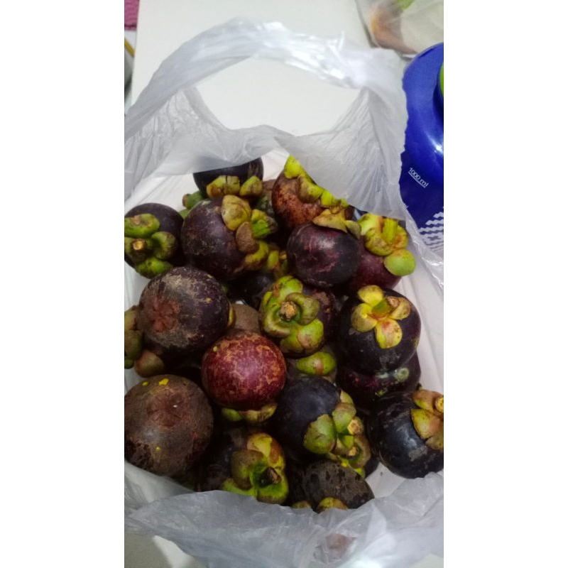 

manggis