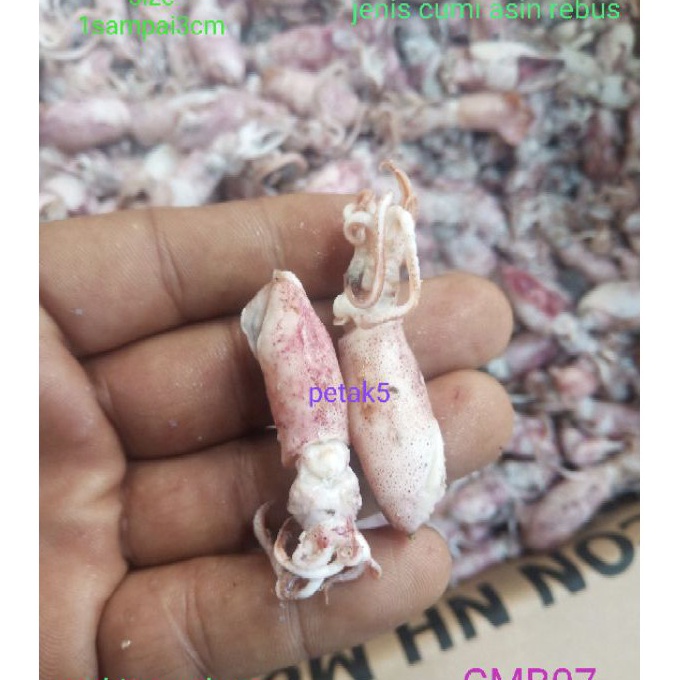 

FG2 Cumi asin beby 1kg cumi asin babycumi asin rebuscumi asin kecil