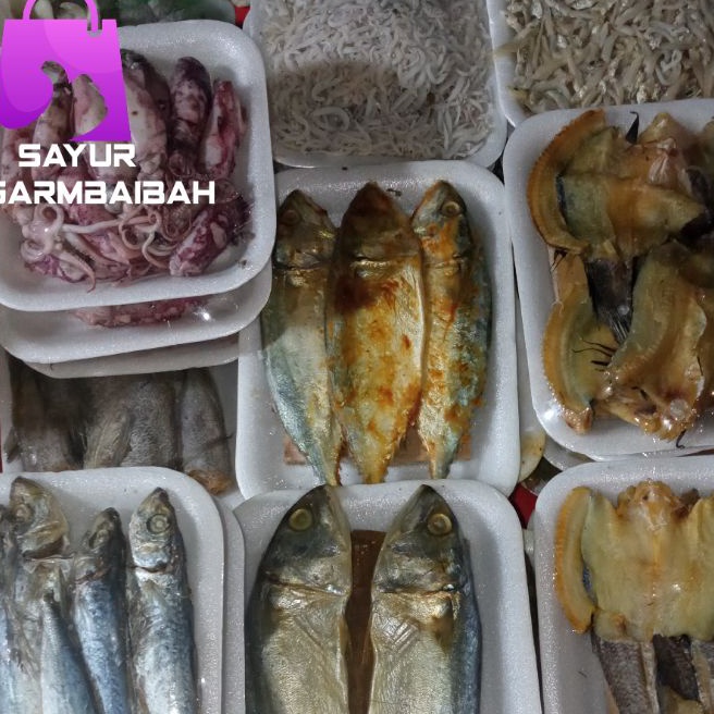 

KI3 ikan asin perpack