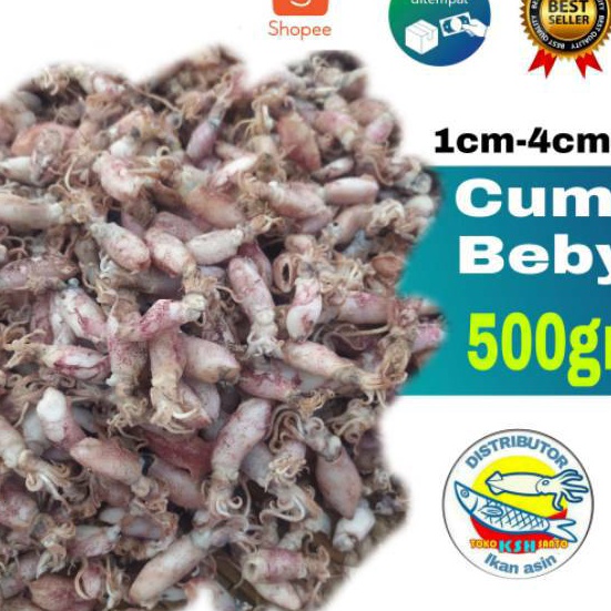 

HJ6 ikan asin beby cumi5gram