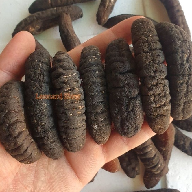 

KI3 HAISOM SUPER ISI 7 8 ASLI BANGKA BELITUNG KERING PER EKOR BERKUALITAS HASIL BESAR TEBAL DAN KENYAL COCOK RESTORAN SEBAGAI OBAT LUKA DALAM LUAR MENINGKATKAN STAMINA TERIPANG GOSOK GAMAT HOISOM DURI SUSU GAJAH TUBOSOM SUP SIRIP ASPARAGUS KEPITING DA