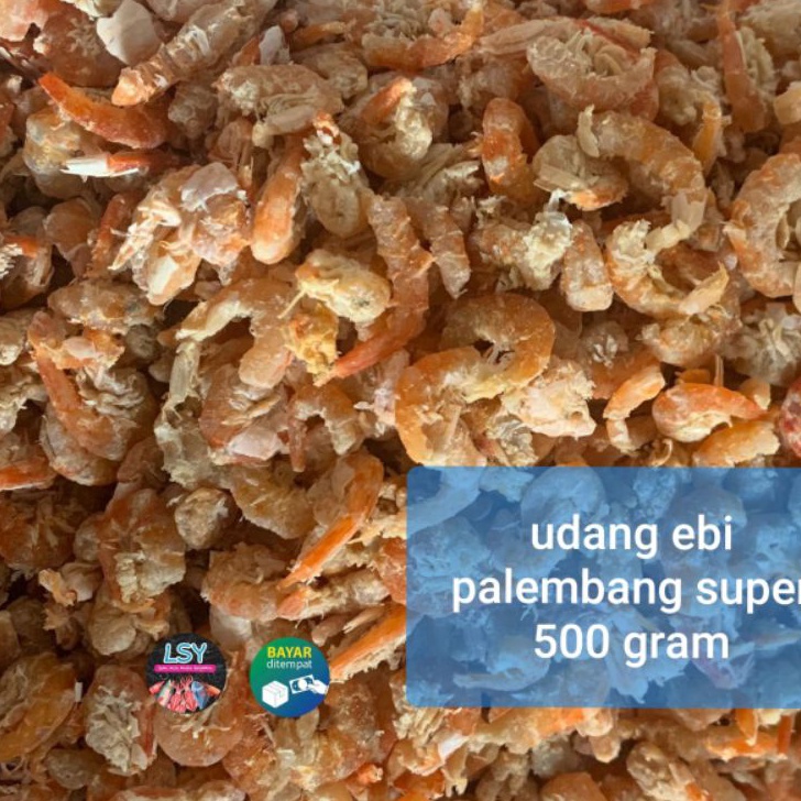 

KF7 Ebi daging palembang super 5gr