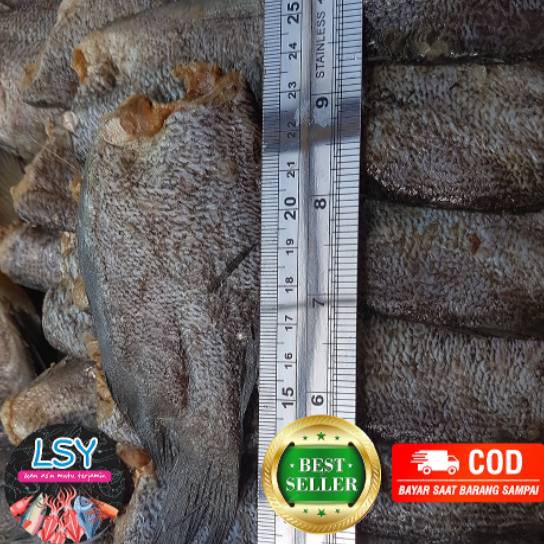 

Khusus IKAN ASIN SEPAT SIAMGURAMIIMPORT KUALITAS NO1 25gr