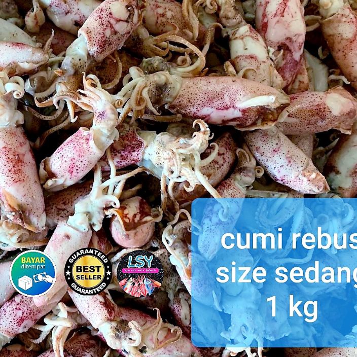 

Terlaris ikan asin cumi rebus sotong rebus size sedang 1kg