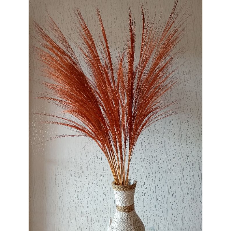 1 LUSIN PAMPAS COKLAT[PAMPAS RAYUNG]DEKORASI/RUSTIC